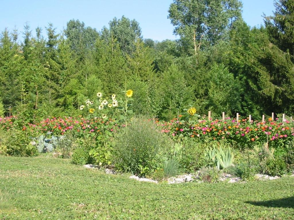 Bed and Breakfast Au Pre Du Moulin Clamanges Zewnętrze zdjęcie